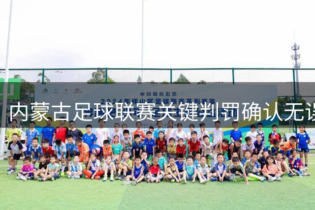 内蒙古足球联赛关键判罚确认无误