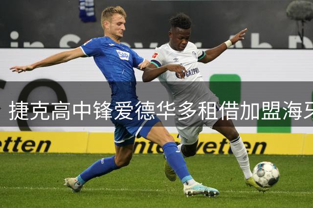 捷克高中锋爱德华多租借加盟海牙 师徒重聚荷甲赛场