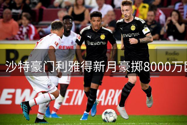 沙特豪门利雅得新月豪掷8000万欧元锁定荷兰飞翼萨默维尔