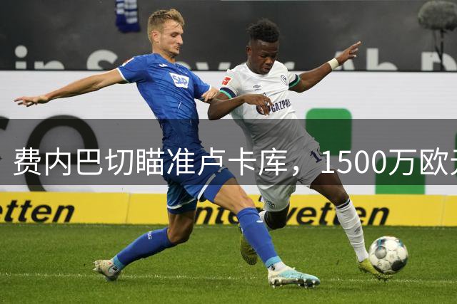 费内巴切瞄准卢卡库，1500万欧元转会费成焦点