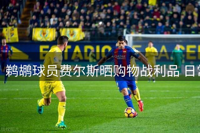 鹈鹕球员费尔斯晒购物战利品 日常分享引关注